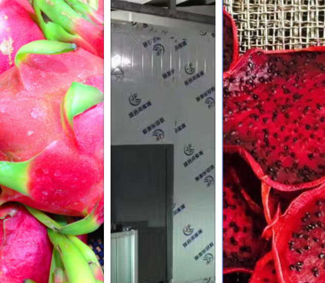 火龍果烘干機(jī)